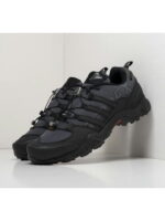 Кроссовки Adidas Terrex Swift R2 GTX