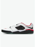 Кроссовки мужские Nike Sb Ishod Wair Premium (DZ5648-100)