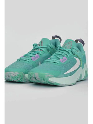 Кроссовки мужские Nike Giannis Immortality 2 (DM0825-300)