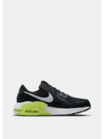 Кроссовки мужские Nike Air Max Excee (CD4165-016)