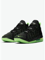 Кроссовки мужские Nike Lebron Xviii (CQ9283-005)