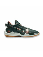 Кроссовки женские Nike Freak 2 Ashiko (DD0012-300)