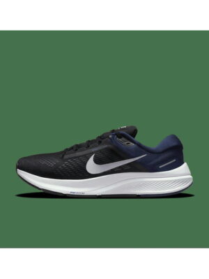 Кроссовки мужские Nike Air Zoom Structure 24 (DA8535-009)