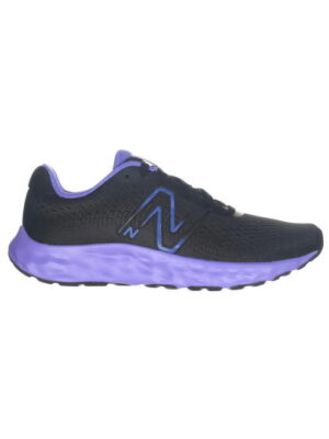 Кроссовки женские New Balance 520 (W520BP8)