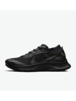 Кроссовки женские Nike Pegasus Trail 3 Gtx (DC8794-001)