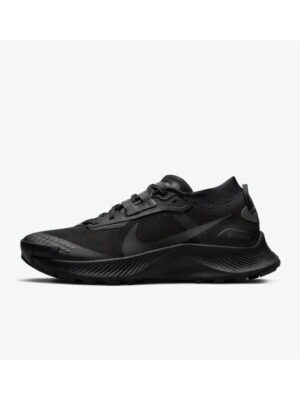 Кроссовки женские Nike Pegasus Trail 3 Gtx (DC8794-001)